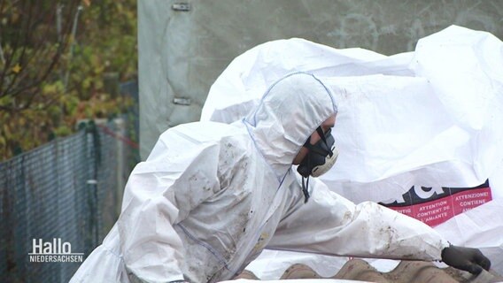 Ein Arbeiter in Schutzkleidung entsortgt eine Asbestplatte.  