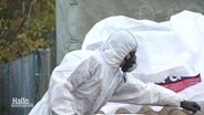 Ein Arbeiter in Schutzkleidung entsortgt eine Asbestplatte.  