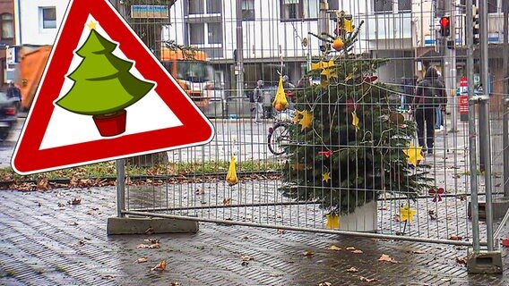 Der traurigste Weihnachtsbaum Hessens. © Screenshot 