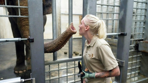 Ein Elefant hält einer Tierpflegerin seinen Rüssel vor das Gesicht © Screenshot 