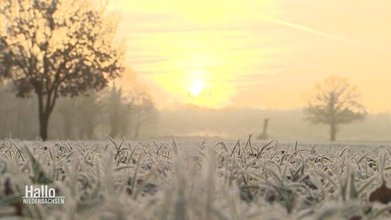 Eine Winterlandschaft. © Screenshot 