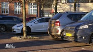 Autos mit niederländischen Kennzeichen auf einem Parkplatz in Niedersachsen. © Screenshot 