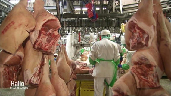 Ein Mitarbeiter in einer Fleischfabrik. © Screenshot 