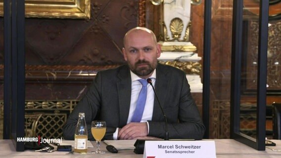 Der Senatssprecher Marcel Schweitzer. © Screenshot 