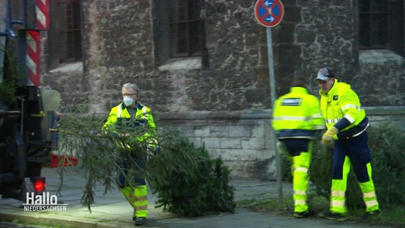 Mehrere Mitarbeiter der Stadtreinigung entfernen auf dem Gehweg liegende Tannenbäume. © Screenshot 