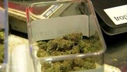 Mehrere Cannabisblüten in einem Glas. © Screenshot 