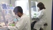 Zwei Labormitarbeitende führen PCR-Tests durch. © Screenshot 