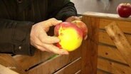 Ein Obstbauer deutet auf eine Stelle an einem Apfel. © Screenshot 
