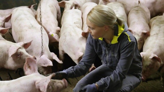 Landwirtin Gesa Langenberg umgeben von Schweinen © Screenshot 