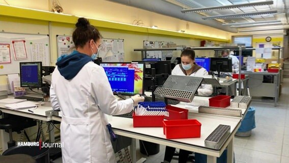 In einem Labor, das PCR-Tests durchführt, pipettieren zwei Mitarbeiterinnen Proben zur Analyse. © Screenshot 