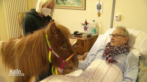 Ein Pony am Bett eines Demenzkranken. © Screenshot 
