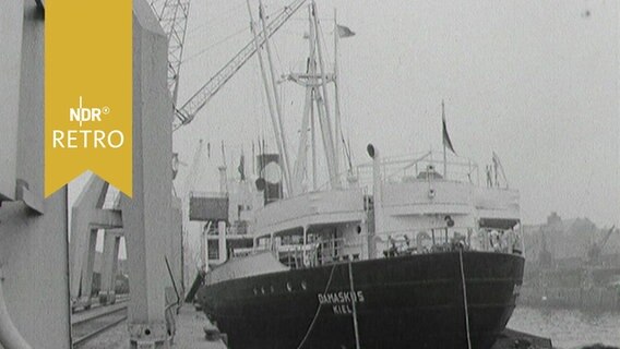 Frachtschiff an einem Kai im Hamburger Hafen mit Ladekränen im Vordergrund (1963) © Screenshot 