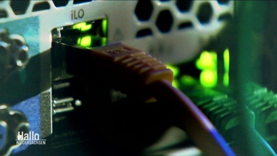Leeuchioden leuchten an einem PC. © Screenshot 