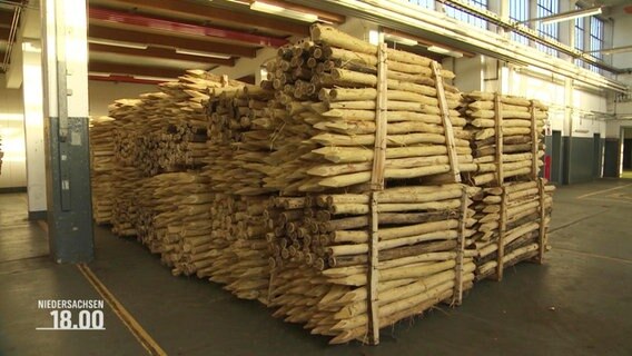 Gestapelte Holzpflöcke für den Bau eines Zaunes zum Schutz gegen die Afrikanische Schweinepest. © Screenshot 
