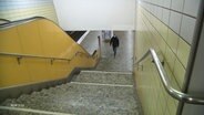 Eine Treppe führt zur U-Bahn © Screenshot 