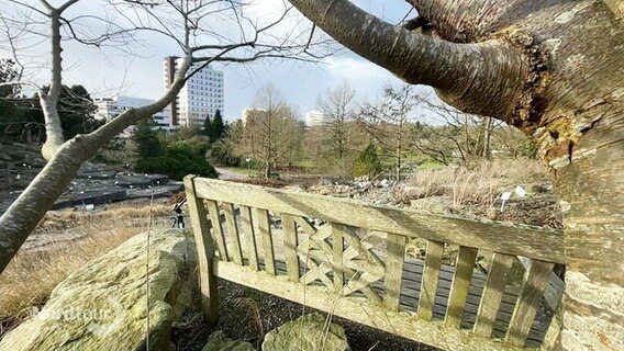 Blick auf die Anlage des Botanischen Gartens in Kiel, im Vordergrund steht eine Sitzbank. © Screenshot 