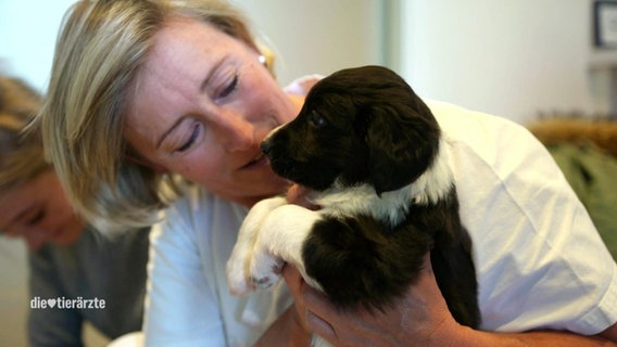 Eine Frau hält einen Hundewelpen in der Hand. © Screenshot 