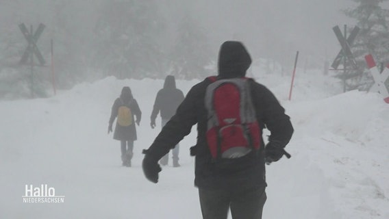 Menschen laufen durch Schneesturm im Harz. © Screenshot 