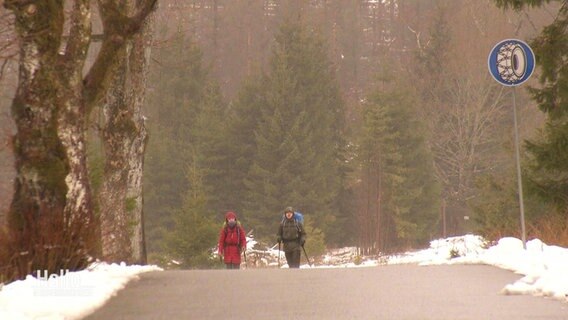 Zwei Personen wandern auf einem Waldweg. © Screenshot 