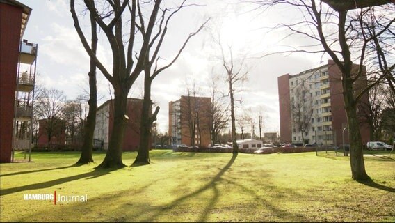 Blick durch Bäume auf Wohnblocks in Hamburg-Eidelstedt © Screenshot 