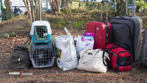 Neben Reisegepäck stehen auch zwei Tierkäfige. © Screenshot 