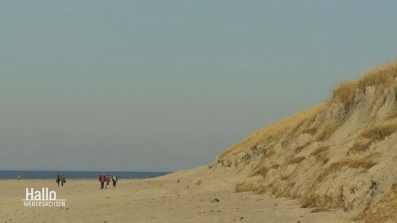 Dünen am Strand von Baltrum. © Screenshot 