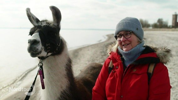 Eine Dame am Strand neben einem Lama. © Screenshot 