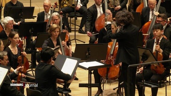 Das Philharmonische Staatsorchester Hamburg spielt in der Elbphilharmonie. © Screenshot 