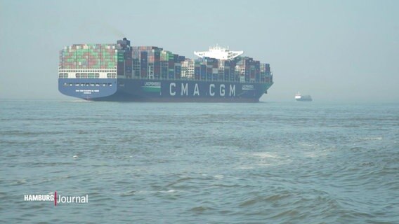 Ein Containerschiff auf der Elbe. © Screenshot 