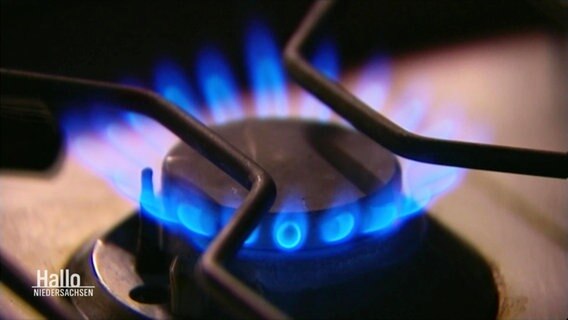 Eine blaue Gasflamme von einem Gasherd. © Screenshot 