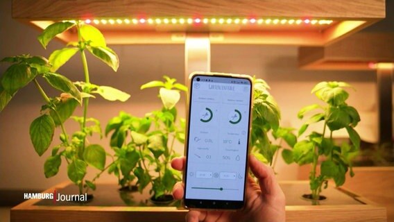 Ein Handy mit einer App wird gezeigt, im Hintergrund stehen von Lampen beleuchtete Pflanzen. © Screenshot 
