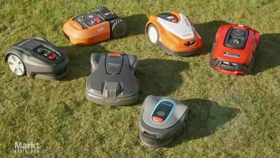 Mehrere Mähroboter auf dem Rasen. © Screenshot 