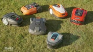 Mehrere Mähroboter auf dem Rasen. © Screenshot 