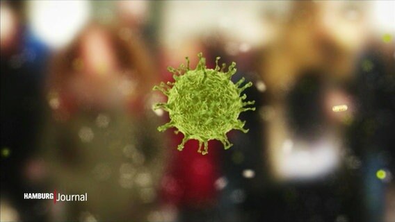 Eine Animation des Corona Virus. © Screenshot 