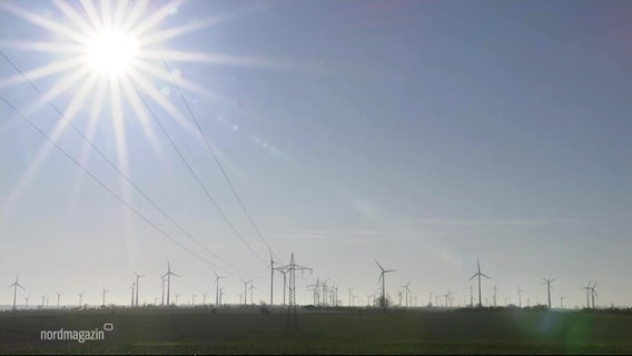 Ein Windpark unter strahlender Sonne. © Screenshot 