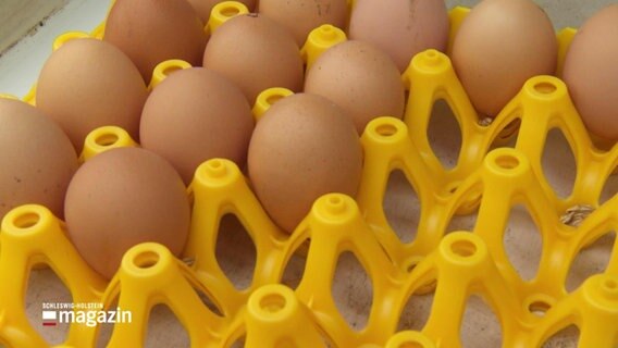 Hühnereier in einer gelben Halterung. © Screenshot 