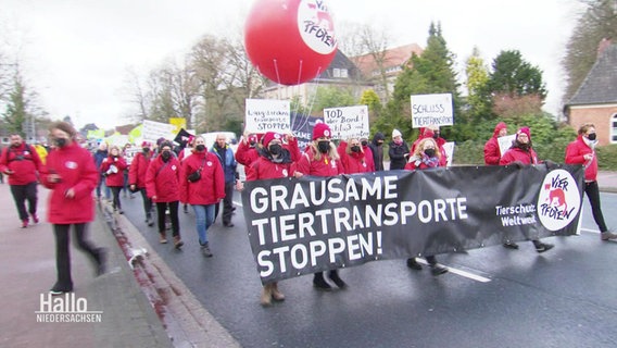 Eine Demonstration gegen Tiertransporte. © Screenshot 