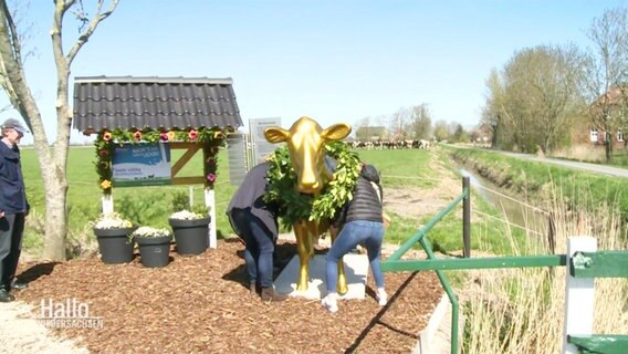 Zwei Personen stellen eine goldene Kuh-Statue auf © Screenshot 