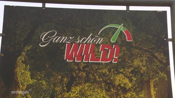 "Ganz schön Wild", steht auf einem Plakat als Warnung vor Wildtieren und gegen Raserei geschrieben. © Screenshot 