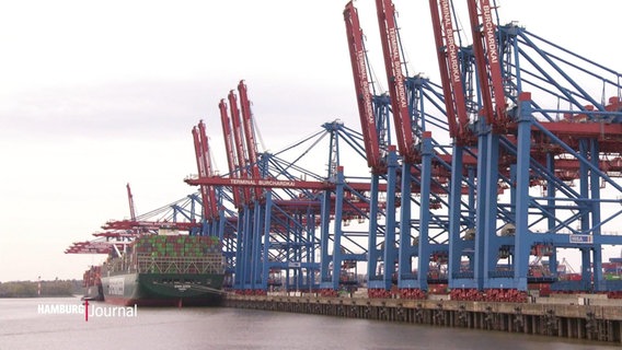 Ein Containerschiff wird im Hamburger Hafen entladen. Im Vordergrund die typischen rot-blauen Kräne am Termin Burchhardkai. © Screenshot 