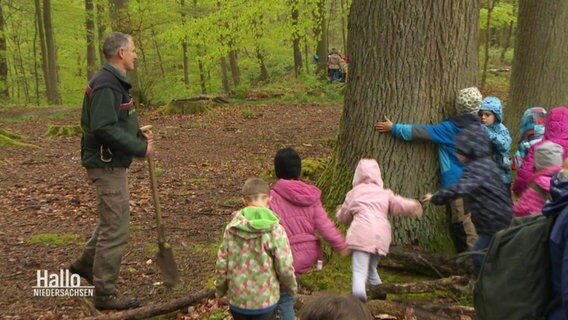 Kinder umarmen einen Baum im Hamelner Stadtwald. © Screenshot 
