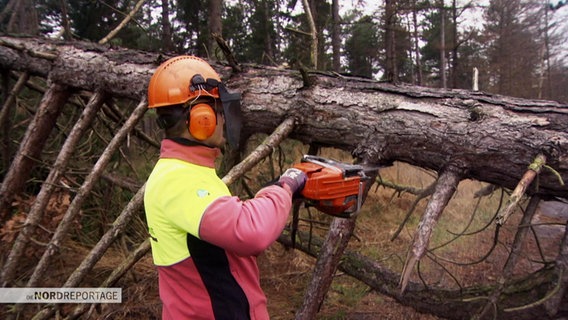 Jemand schneidet mit der Kettensäge Äste von einem umgestürzten Baum © Screenshot 
