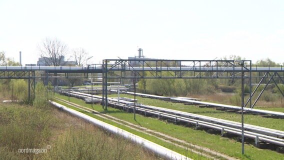 Pipelines im Rostocker Hafen © Screenshot 