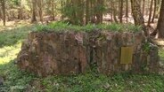 Gedenkstätte und Mahnmal für den Holocaust in der Rostocker Heide. © Screenshot 