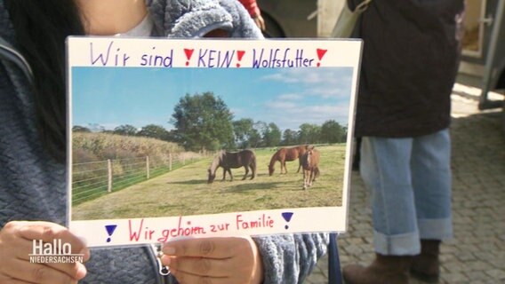 Ein Foto von Pferden, darüber die Aufschrift: "Wir sind kein Wolfsfutter!" © Screenshot 