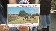 Ein Foto von Pferden, darüber die Aufschrift: "Wir sind kein Wolfsfutter!" © Screenshot 