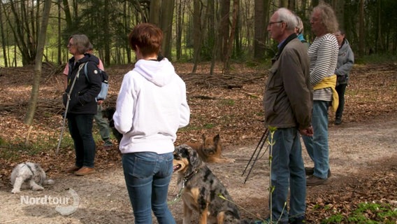 Hunde und Menschen auf einem Waldweg. © Screenshot 