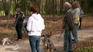 Hunde und Menschen auf einem Waldweg. © Screenshot 