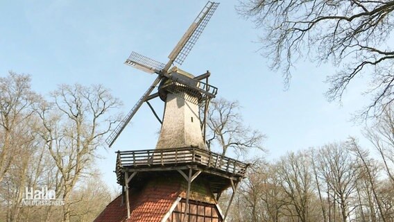 Die Hüvener Windwassermühle. © Screenshot 