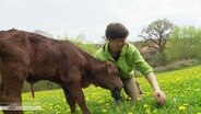 Der Bauer kniet neben einem Kalb auf der Wiese. © Screenshot 